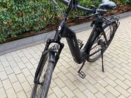 E-Bike Velo de Ville AEB 490 - Stuhr