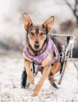 Besondere Miranda sucht ihre Familie - Duisburg