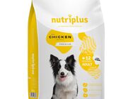 2-fach zooPunkte auf Nutriplus Trockenfutter - Adult Huhn 3 kg