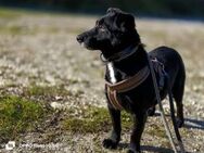 Unser CHARLY 💙 sucht sein Glück - Fahrenzhausen