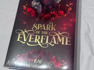 Penn Cole Spark of the Everflame - Schieder-Schwalenberg