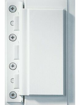 IKON 9M08 Krallfix 3 (R) Türzusatzsicherung Türsicherung Türban - Singen (Hohentwiel) Zentrum