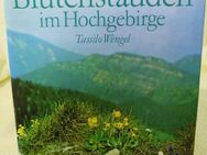 Blütenstauden im Hochgebirge, Tassilo Wengel / Deutscher Landwirtschaftsverlag - Zeuthen
