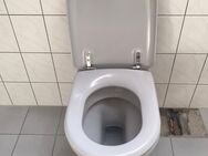 1x Toilette (Wandmontage) / Farbe grau - Vilshofen (Donau) Zentrum