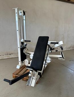 Gym80 Schulterpresse Krafttraining Strength Kraft Fitness - Sottrum