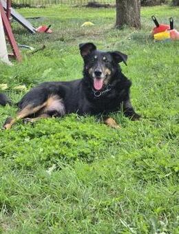 Chico 🌞 Schein liebt alles - Jade