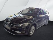 VW Golf Variant Alltrack 2.0TDI DSG 296,-ohne Anza - Horn-Bad Meinberg