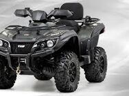 Quad TGB Blade1000LT EFI 4X4 lof - Oberriexingen Zentrum