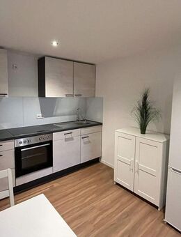 Saniert 2025! Möbliertes 1-Zimmer-Apartment am Fürther Stadtrand - Fürth