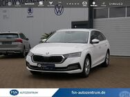 Skoda Octavia, 2.0 TDI Combi First Edition, Jahr 2020 - Rostock