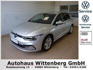 VW Golf, 2.0 TDI VIII Life, Jahr 2023 - Wittenberg (Lutherstadt) Wittenberg