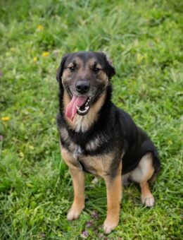 MAXI - na für maximale Freude... - Overath