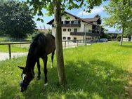 Vielseitig nutzbare 4-Zimmer-Wohnung mit individueller Gestaltungsmöglichkeit - Bad Griesbach (Rottal)