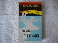 Der Zug der Rentiere,Allen Roy Evans,Rowohlt Verlag,1955 - Linnich