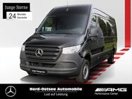 Mercedes Sprinter, 317 L3H2, Jahr 2023 - Heide