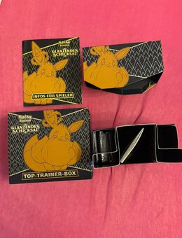Top Trainer Box Glänzendes Schicksal ohne Booster + ohne Promo - Rosenheim