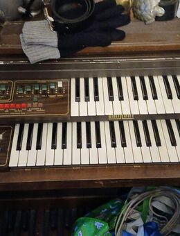 Elektrische Orgel zu verschenken - Mannheim
