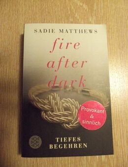 Fire after Dark Tiefes Begehren Band 2 - Berlin