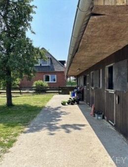 Traumhafte Pferdeimmobilie mit zwei Wohnhäusern in Niedersachsen! - Varrel