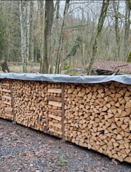 Brennholz Buche / Esche ofenfertig - Wetzlar