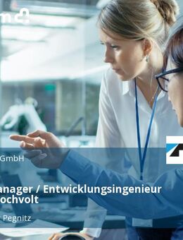 Projektmanager / Entwicklungsingenieur (m/w/d) Hochvolt - Lauf (Pegnitz)