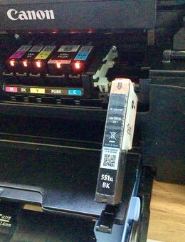 Drucker Canon Pixma 5550 Patronen - Flensburg