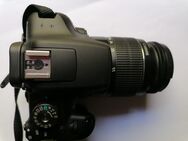 Canon EOS 2000 für 150 Euro fest - Altrip