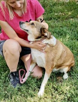 JOHNNY = gutmütig fröhlich SEHR sozial♥️ - München