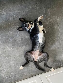 BLANCA ❤️ Sonnenschein, Bochum - Kissing