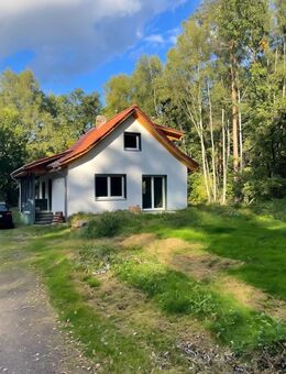 ***Modernisiertes Einfamilienhaus in Walsrode - energieeffizient, ruhig und zentral gelegen*** - Walsrode