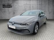 VW Golf, 2.0 TDI VIII Life, Jahr 2022 - Salzwedel (Hansestadt)