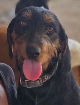 Anne - Recklinghausen