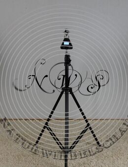 HIFI High end 3D Spatial Sourround Holografischer Kugelschall NWS Dodekaeder Lautsprecher - Waibstadt