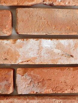Antik Ziegel Riemchen Mauer Verblender Stein Wand Used Look rustikal Loft optik Penthouse - Halle (Saale)