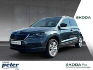 Skoda Karoq, TDI SOLEIL VARIOFLEX, Jahr 2019 - Nordhausen