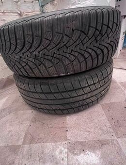 195 /55 r16 Allwetterreifen - Großbeeren