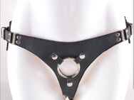 Herrin oder Paar für Strap-on Date 17-21.02 - Nürnberg Zentrum