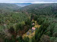 *Waldgrundstück in Jena-Ammerbach* Einfamilienhaus und Gästehaus auf ca. 33.000 m² Grund - Jena
