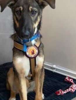 Azizam träumt von seiner eigenen Familie - München