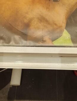 Kinder Schreibtisch weis - Rohrdorf (Bayern)