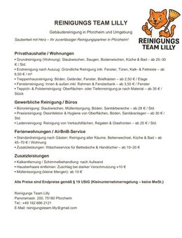 Zuverlässige Reinigungskraft für Wohnungen, Büros & Ferienwohnung - Pforzheim