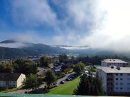 Renovierte 3-Zimmerwohnung mit atemberaubendem Ausblick - Plettenberg