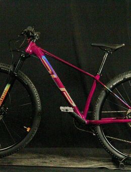 Bergwelt Hardtail SUPERIOR, B25/223 - Aarau