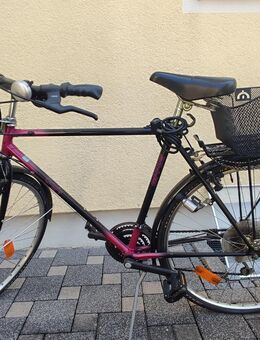 Herren Fahrrad Treckingrad von Epple - Sehr guterhalten - Aichach