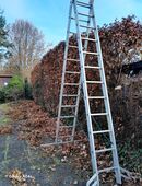 Heckenschnitt Ich mache Ihren Garten schön in 22045