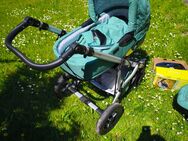 Kinderwagen..und anderes - Zittau