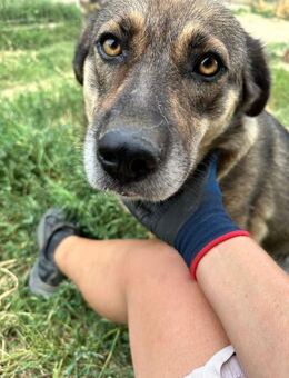 Alia - pure Lebensfreude - Idstein