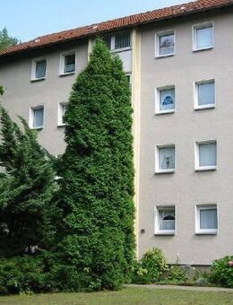 Zuhause fühlen: praktische 2-Zimmer-Wohnung - Bochum