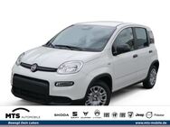 Fiat Panda, 1.0 Mild EU6d Hybrid GSE 51kw (70PS), Jahr 2024 - Oberursel (Taunus)