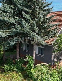 Zentrumsnahes Einfamilienhaus in ruhiger Wohngegend - Magdeburg
